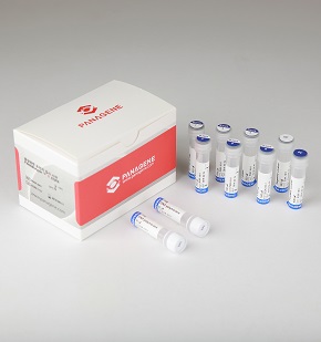 PANAMutyper™ R EGFR
