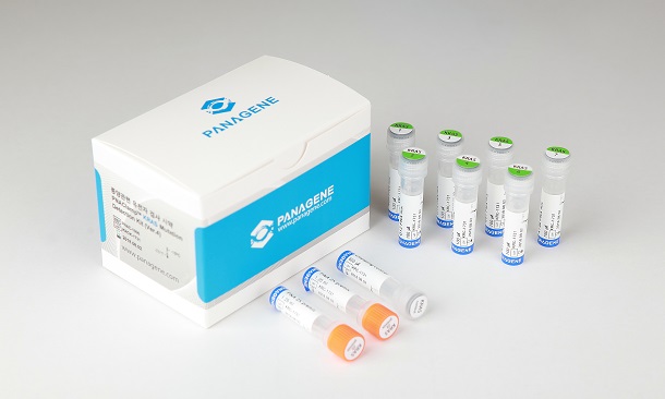 PNAClamp™ Mutation Detection Kit KRAS (ver.4)
