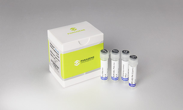 PNAClamp™ Mutation Detection Kit BCR-ABL