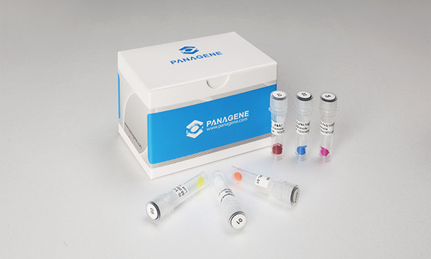 Custom PNA synthesis