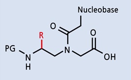 Gamma PNA