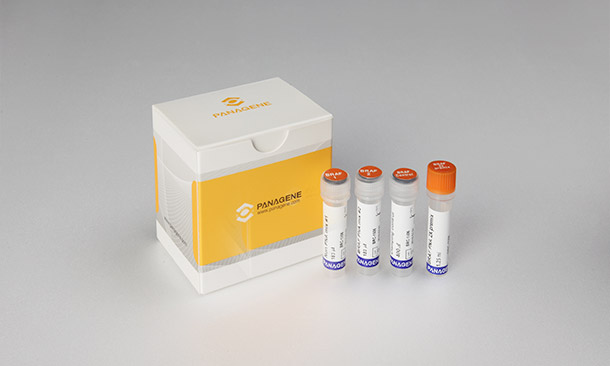PNAClamp™ Mutation Detection Kit BRAF