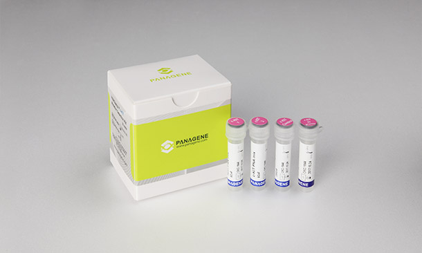 PNAClamp™ Mutation Detection Kit c-KIT